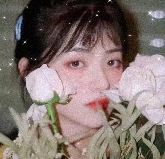 新蝶恋花